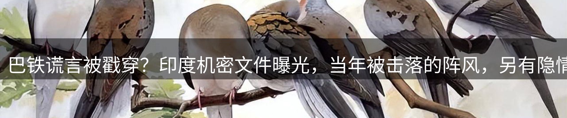 新闻汇集