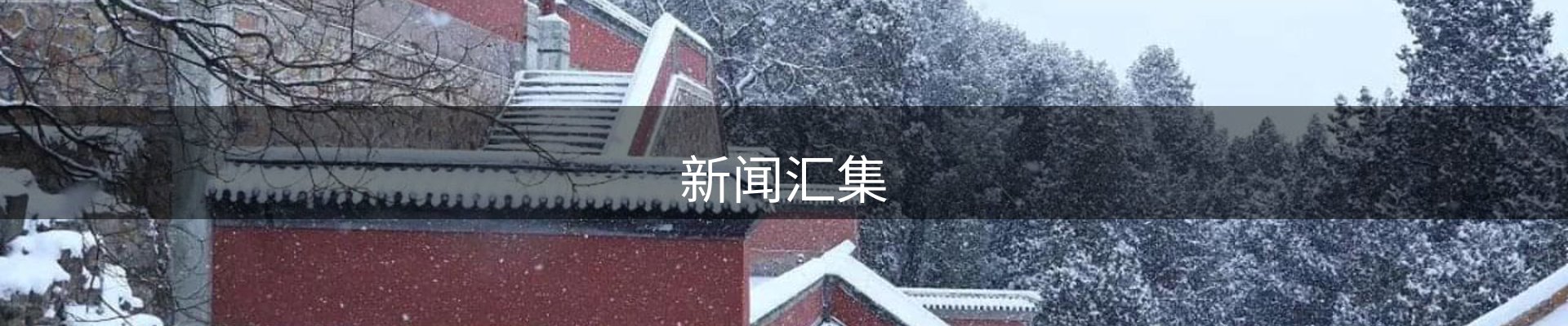 新闻汇集